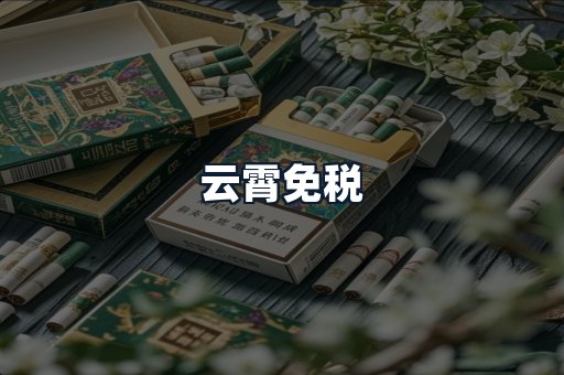 云霄免税